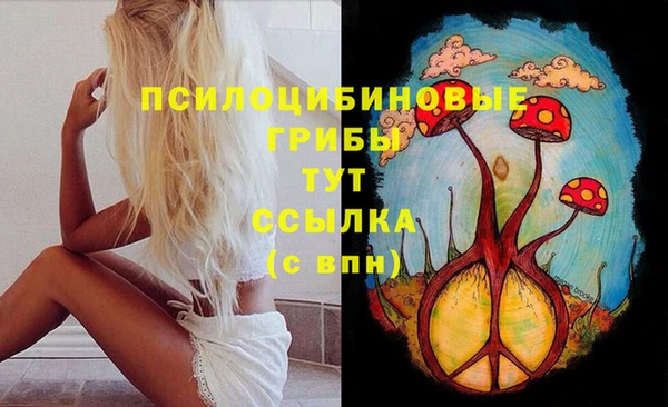 apvp Михайловск