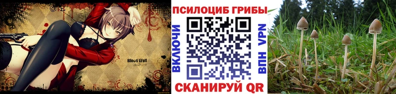 Галлюциногенные грибы Cubensis  купить   Пересвет 